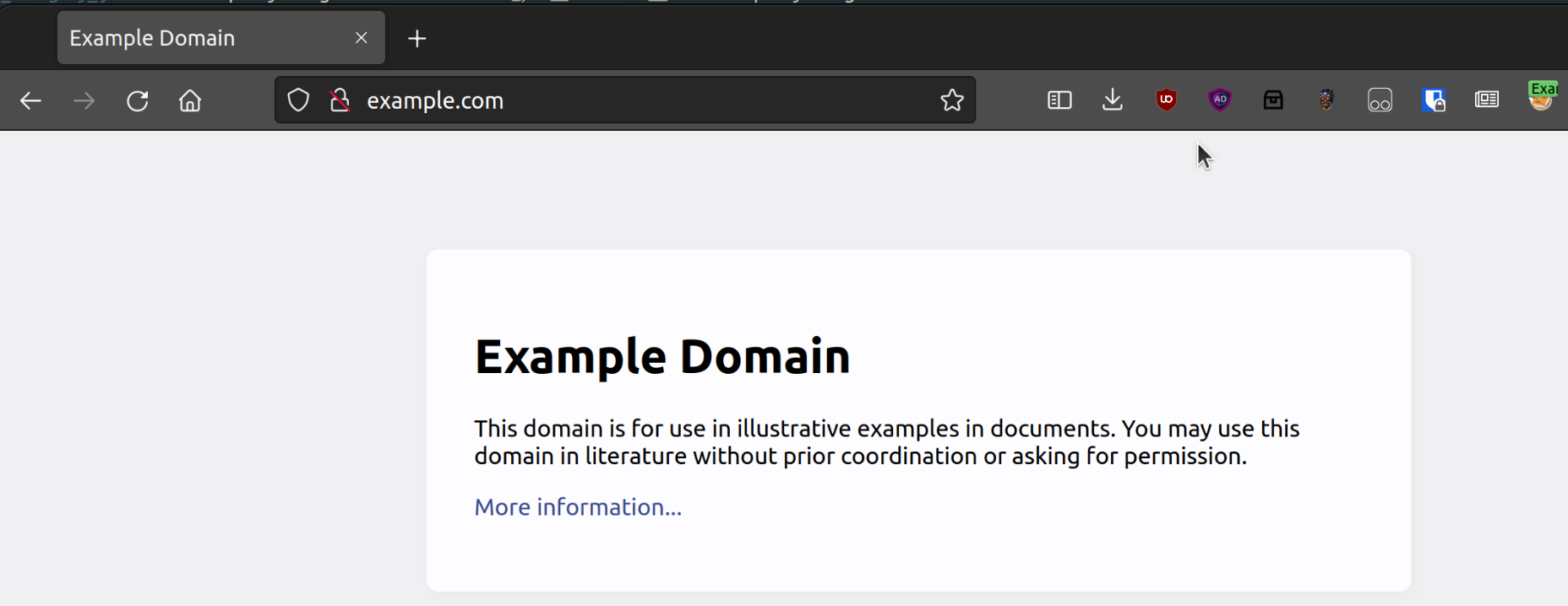 example.com navigate to website